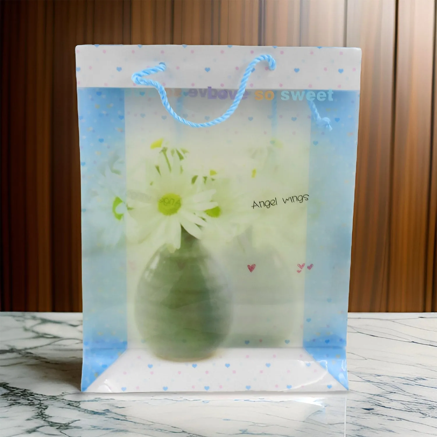 Plastic Transparent Bag With Handle (1 Pc / 34 x 26 Cm)