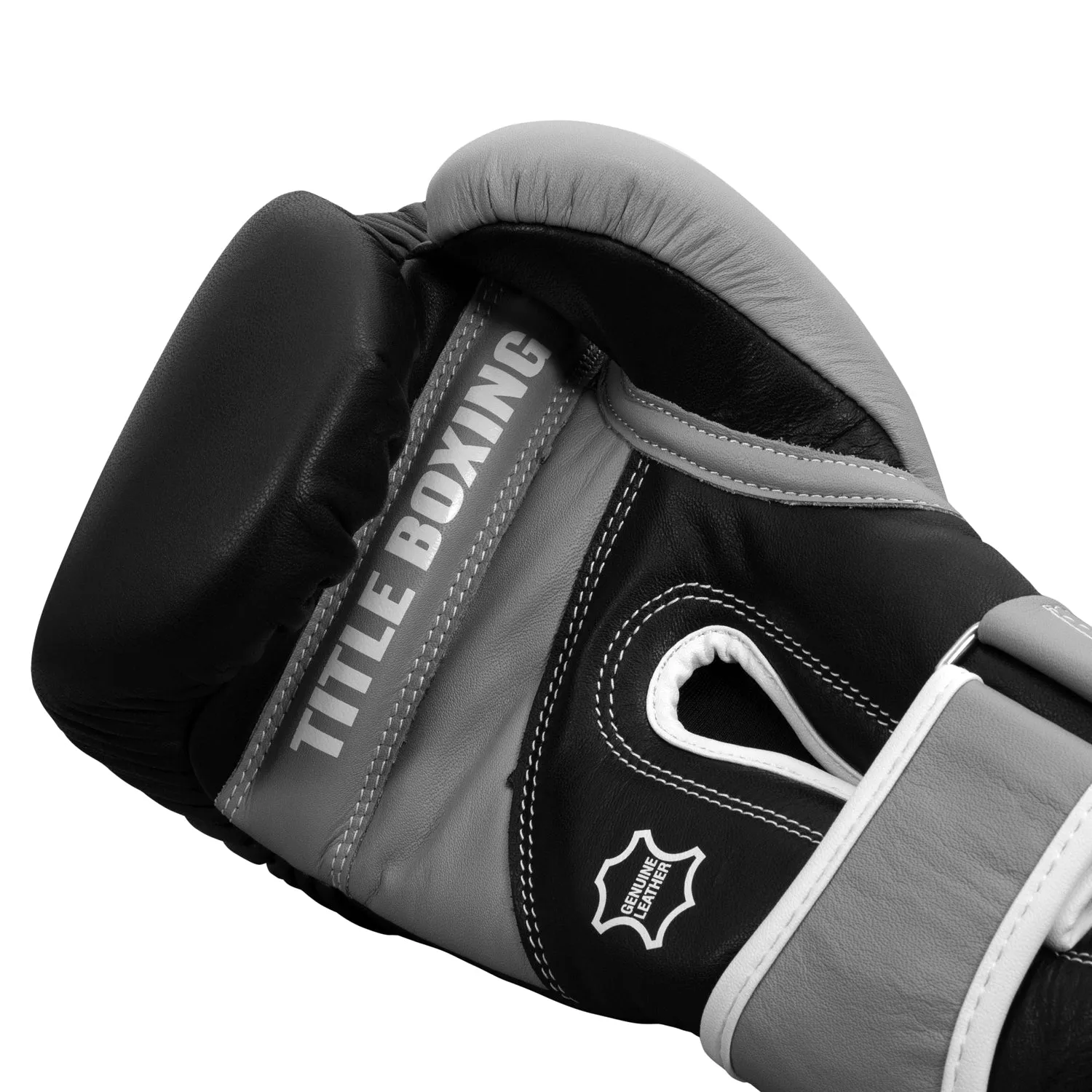 TITLE Boxing Gel World V2T Bag Gloves