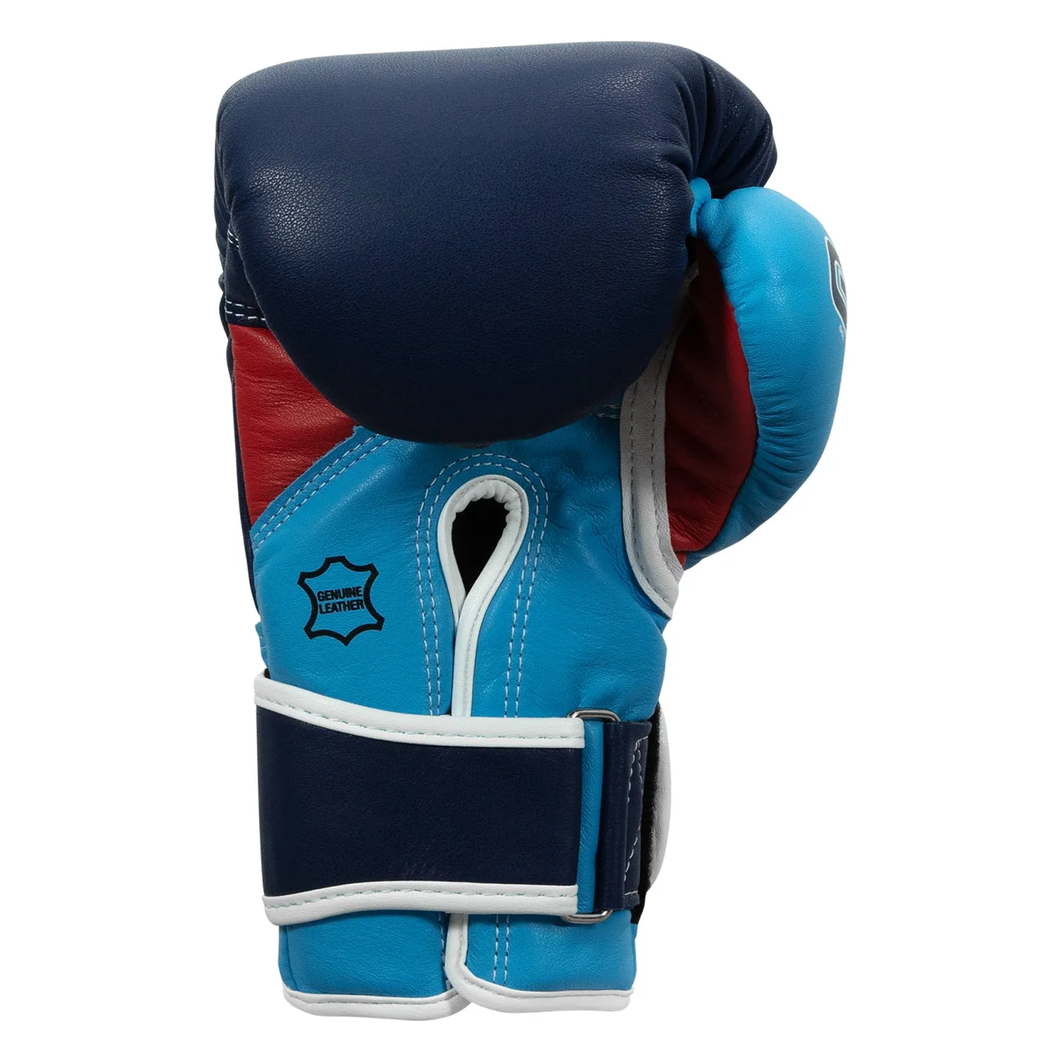 TITLE Boxing Gel World V2T Bag Gloves