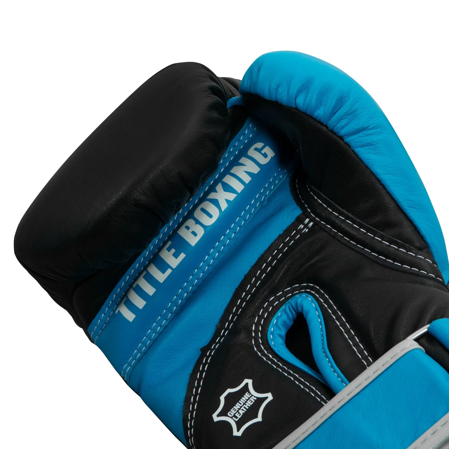 TITLE Boxing Gel World V2T Bag Gloves