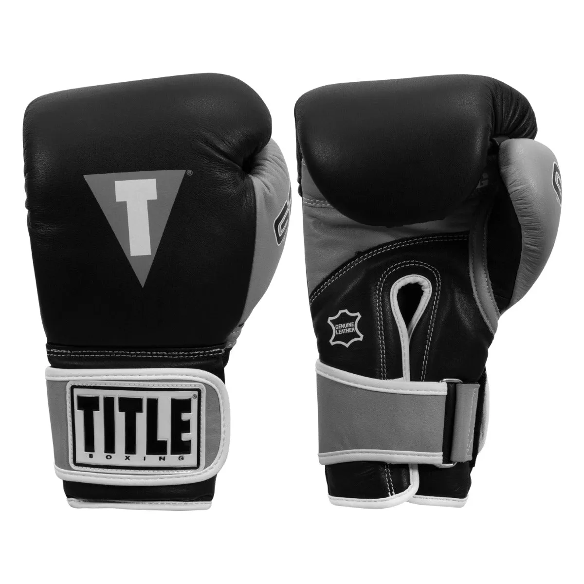 TITLE Boxing Gel World V2T Bag Gloves