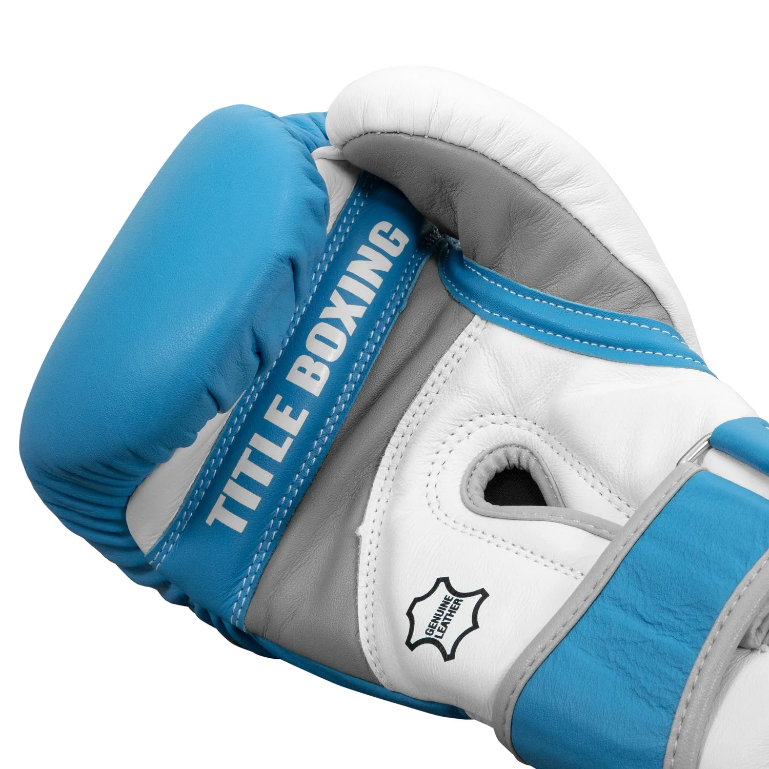 TITLE Boxing Gel World V2T Bag Gloves