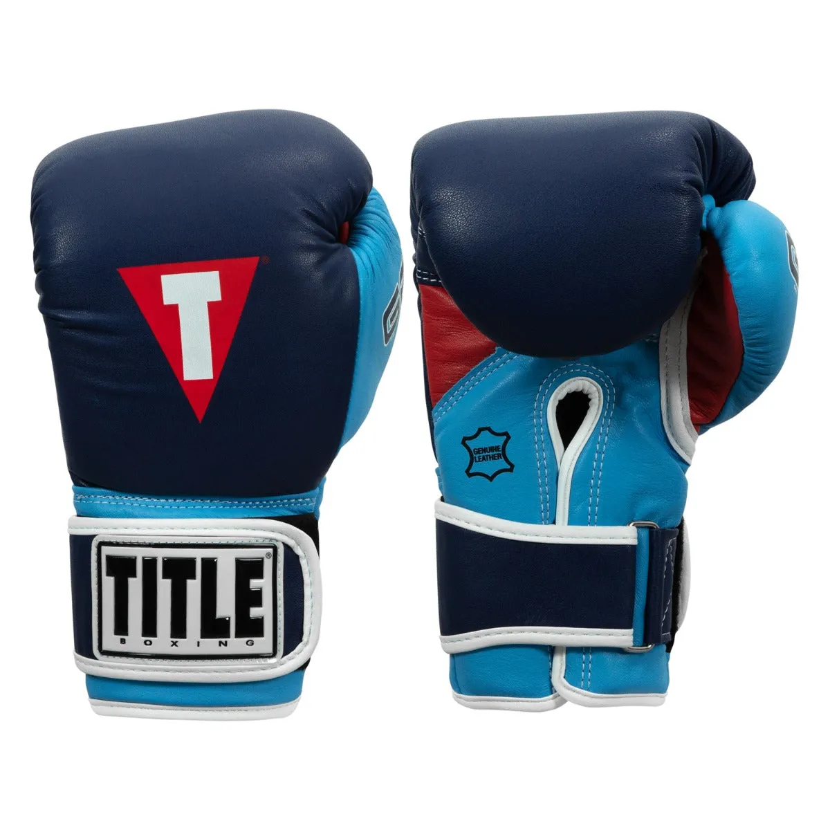 TITLE Boxing Gel World V2T Bag Gloves